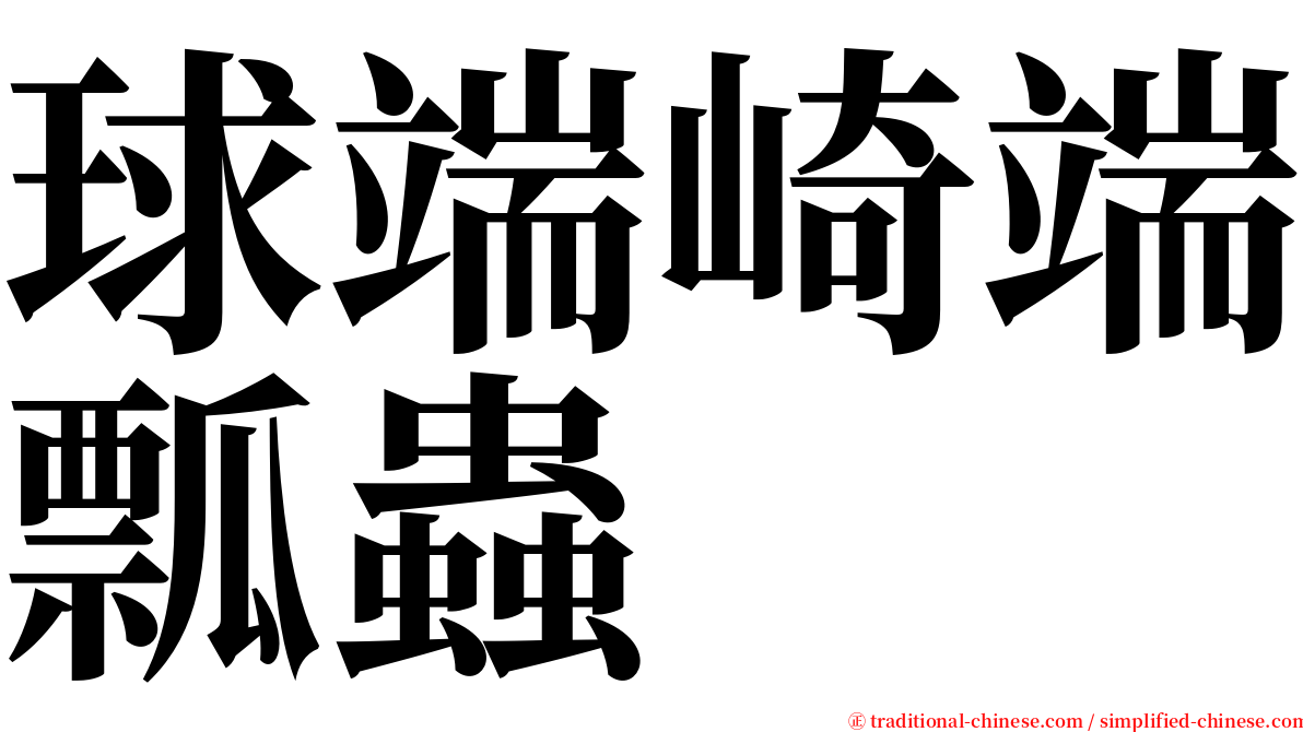 球端崎端瓢蟲 serif font
