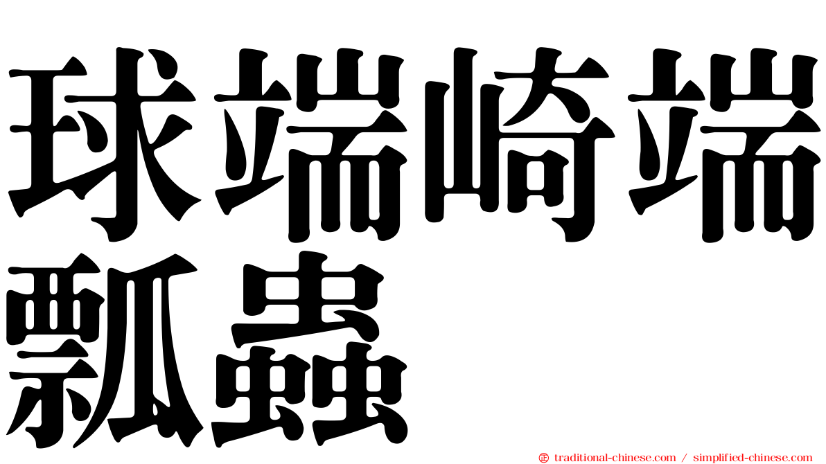 球端崎端瓢蟲