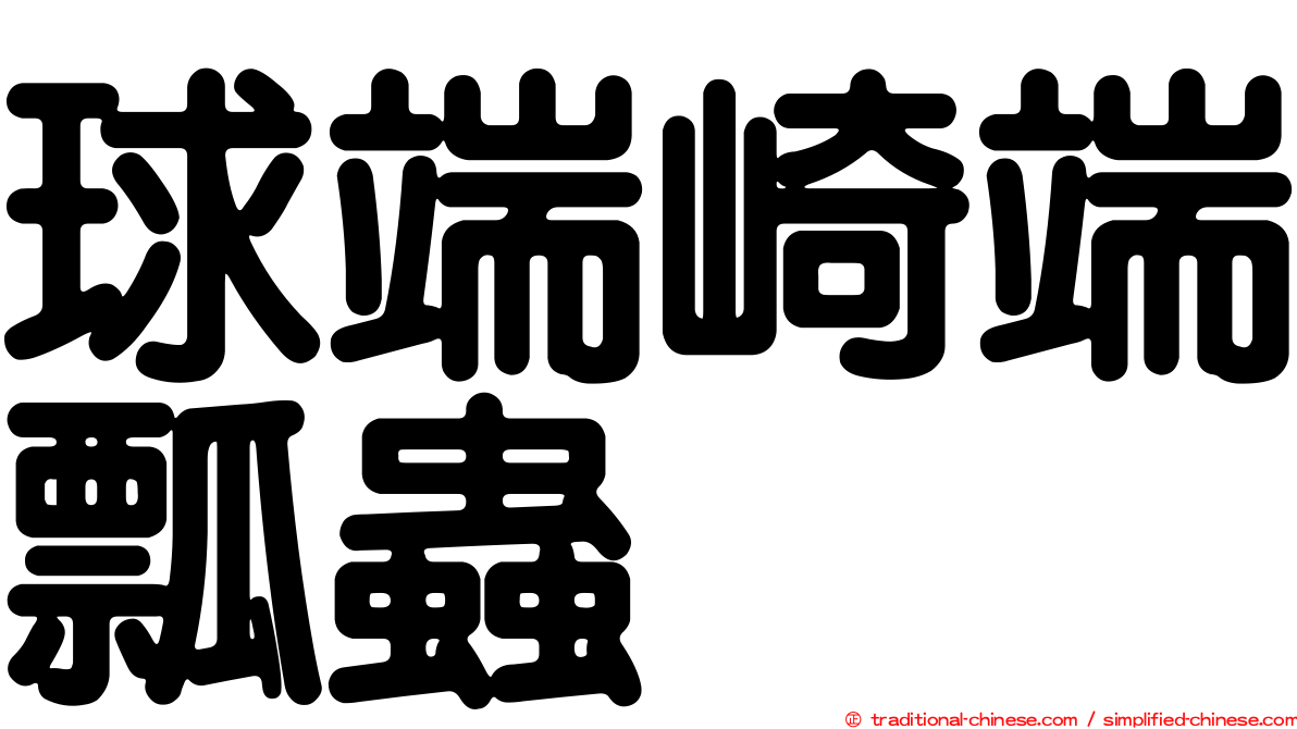 球端崎端瓢蟲