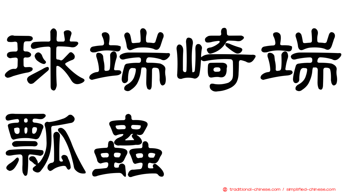 球端崎端瓢蟲