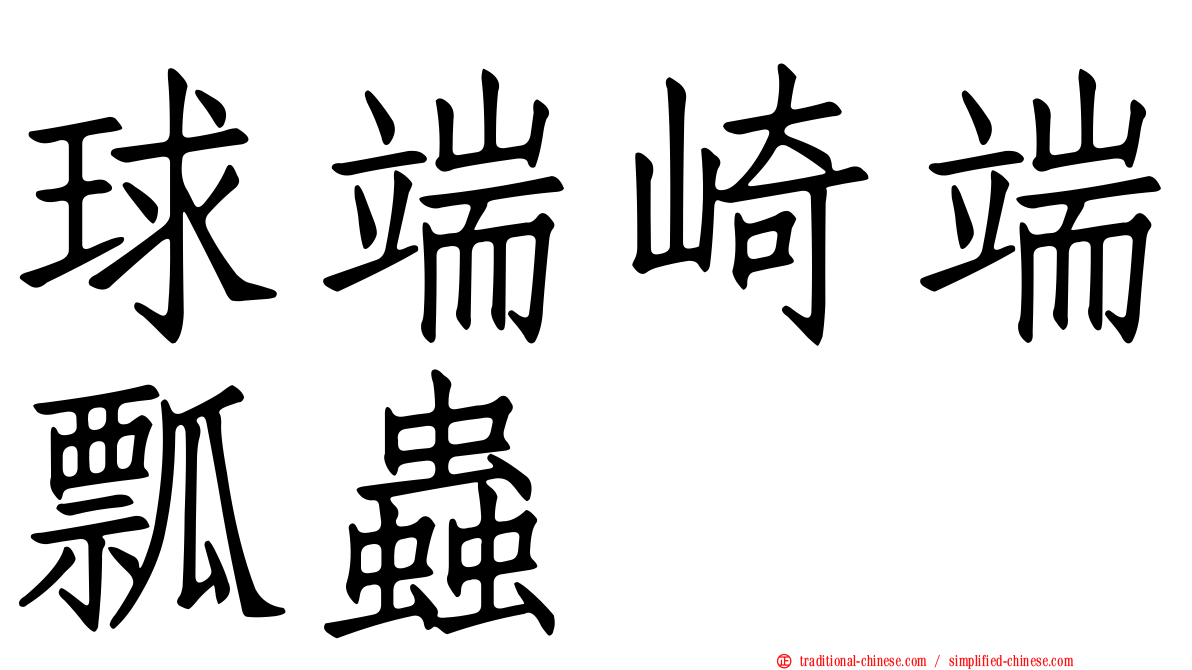 球端崎端瓢蟲