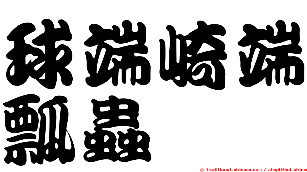 球端崎端瓢蟲