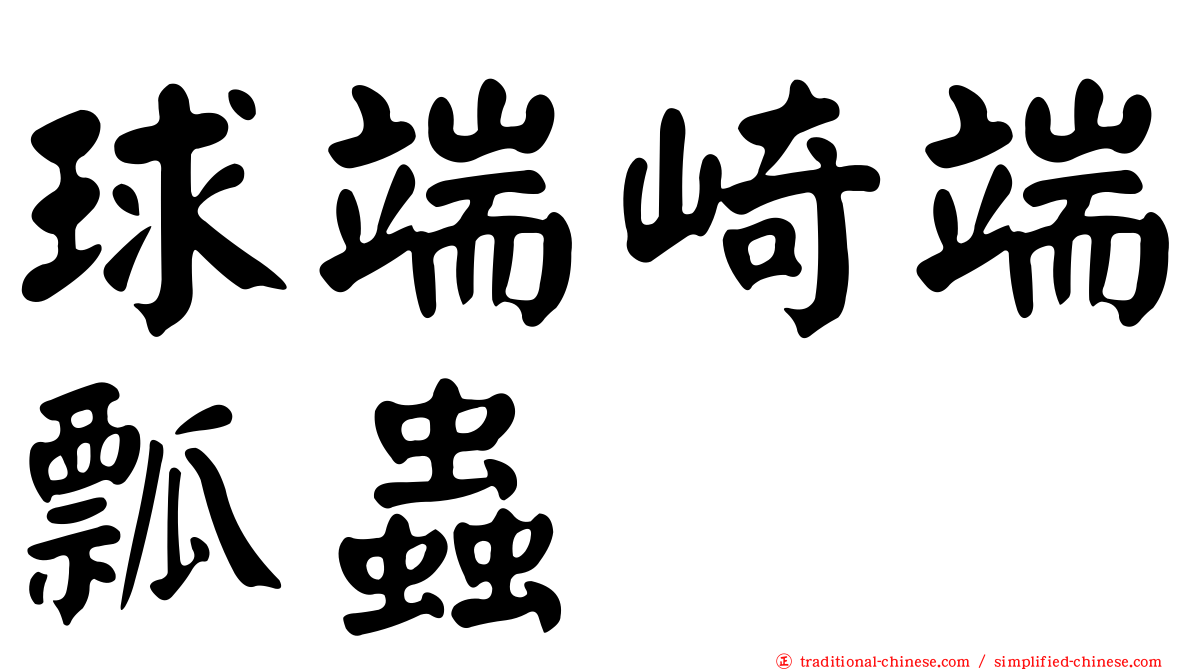 球端崎端瓢蟲