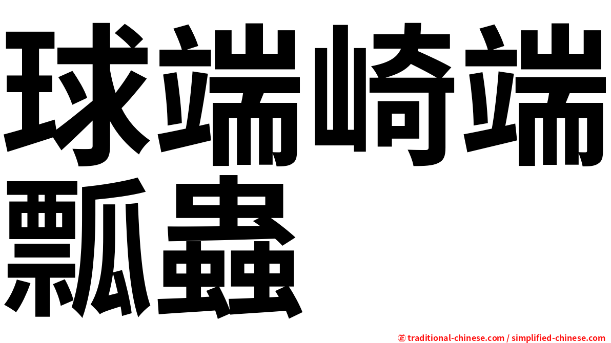 球端崎端瓢蟲