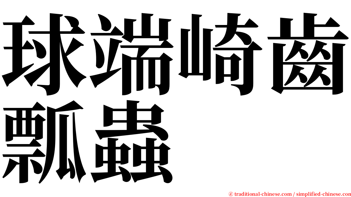 球端崎齒瓢蟲 serif font