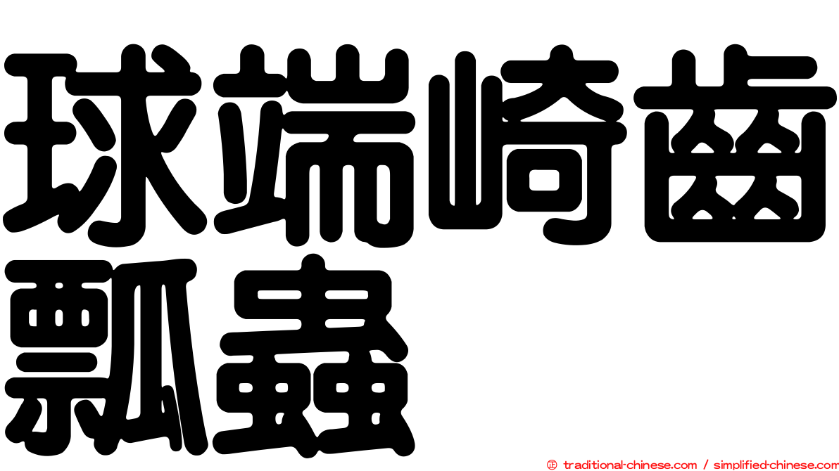 球端崎齒瓢蟲