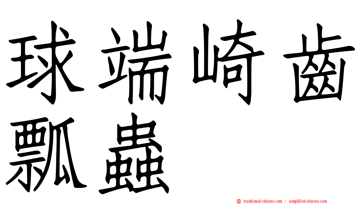 球端崎齒瓢蟲