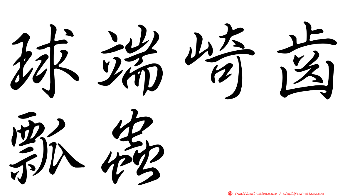 球端崎齒瓢蟲