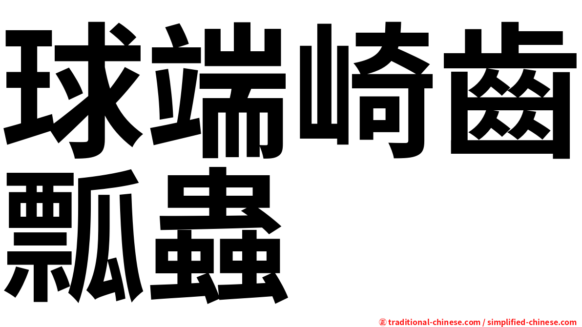 球端崎齒瓢蟲