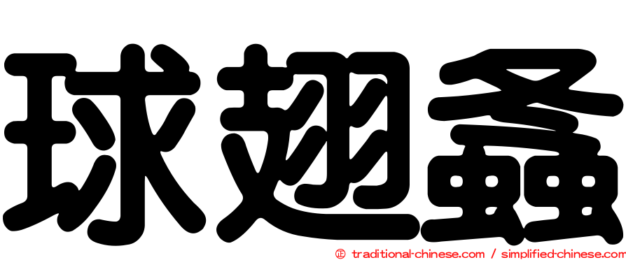 球翅螽
