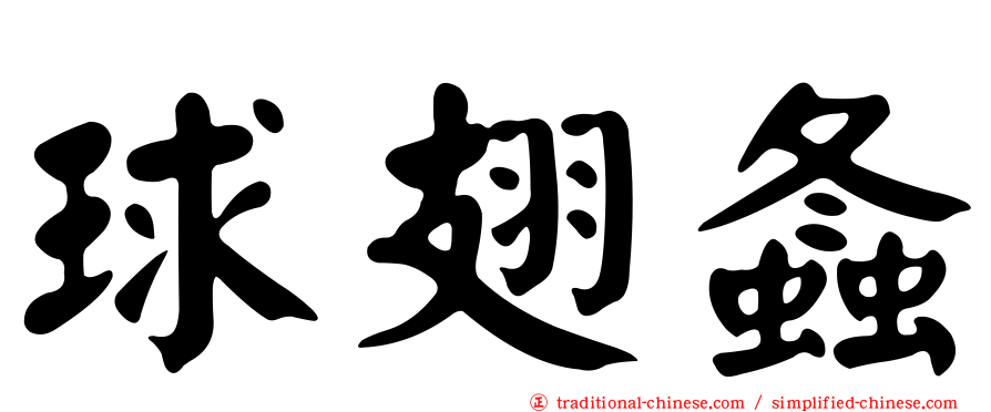 球翅螽