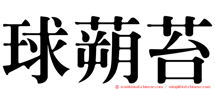 球蒴苔