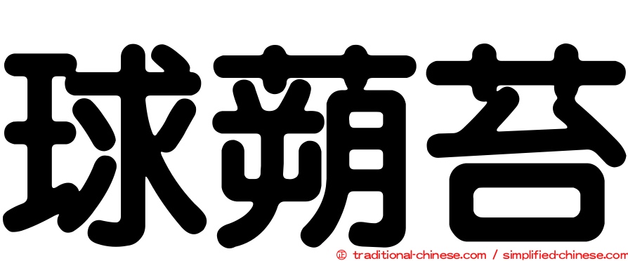球蒴苔