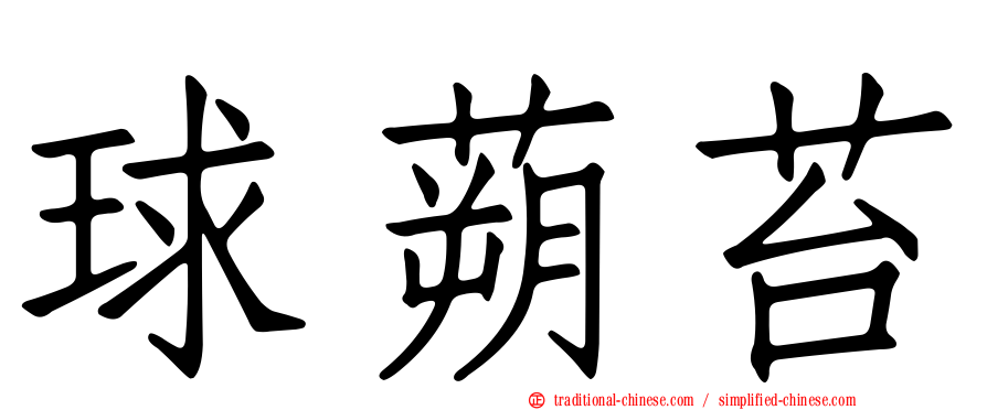 球蒴苔