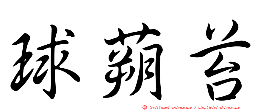 球蒴苔