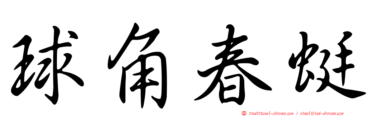 球角春蜓