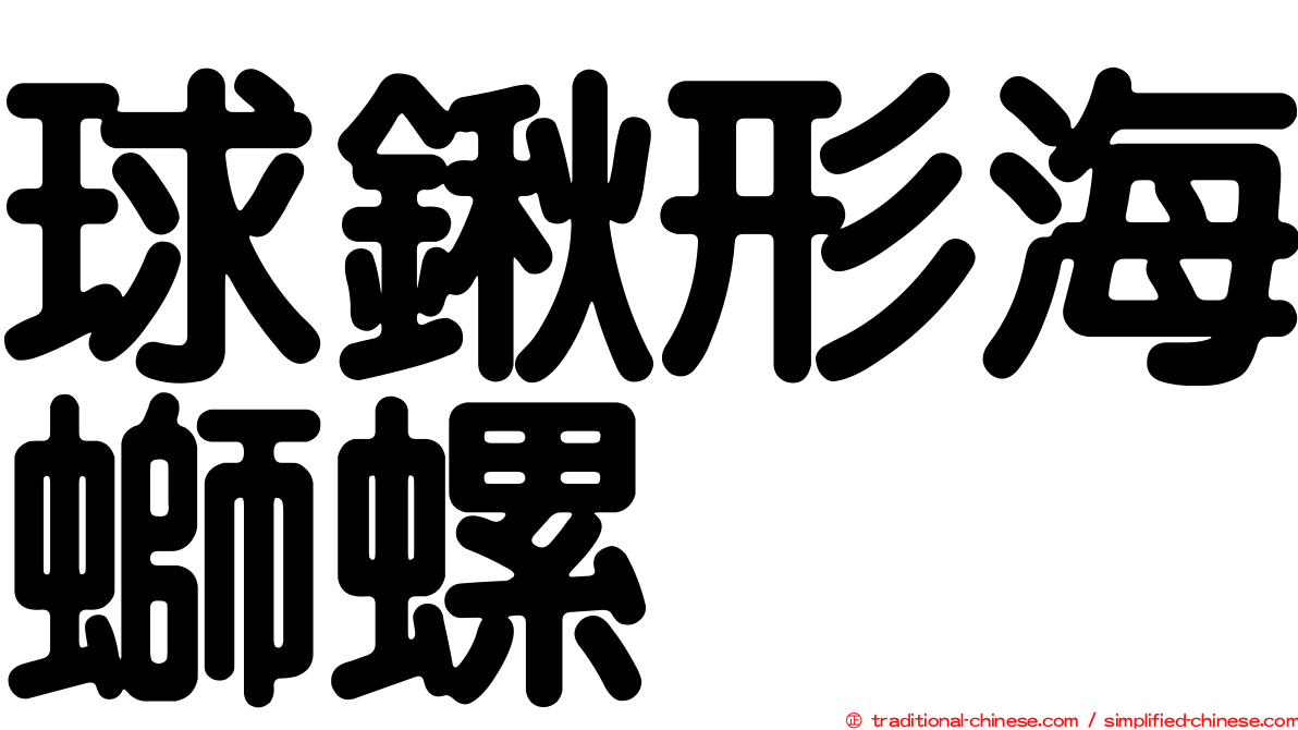 球鍬形海螄螺