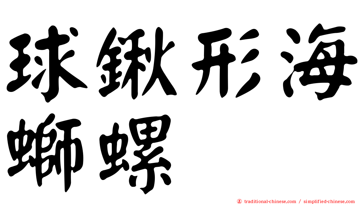 球鍬形海螄螺