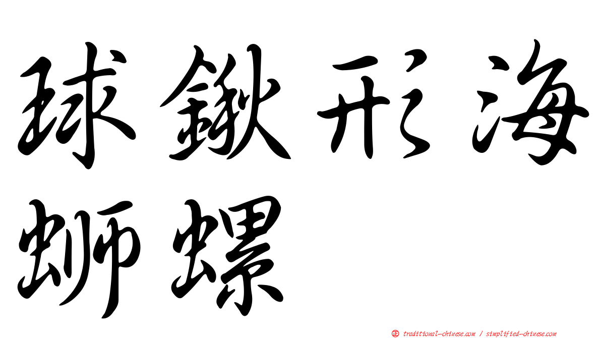 球鍬形海螄螺