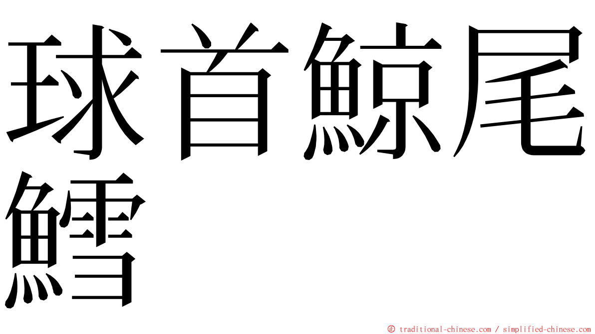 球首鯨尾鱈 ming font