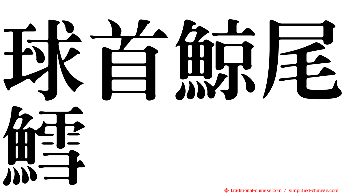 球首鯨尾鱈