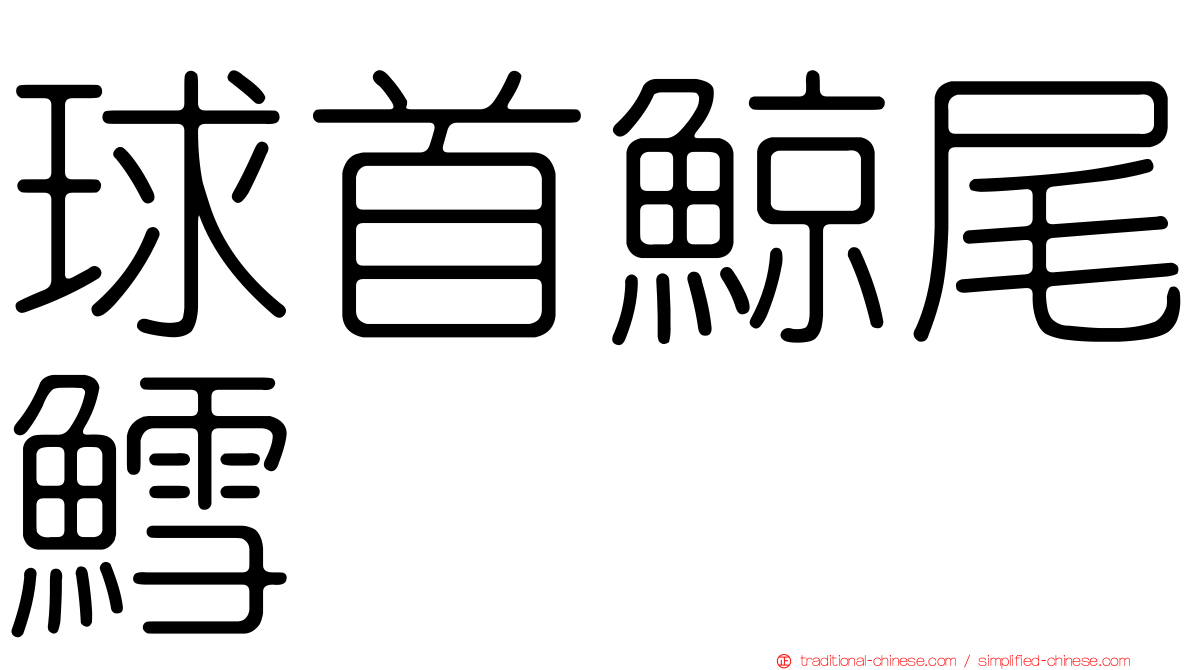 球首鯨尾鱈