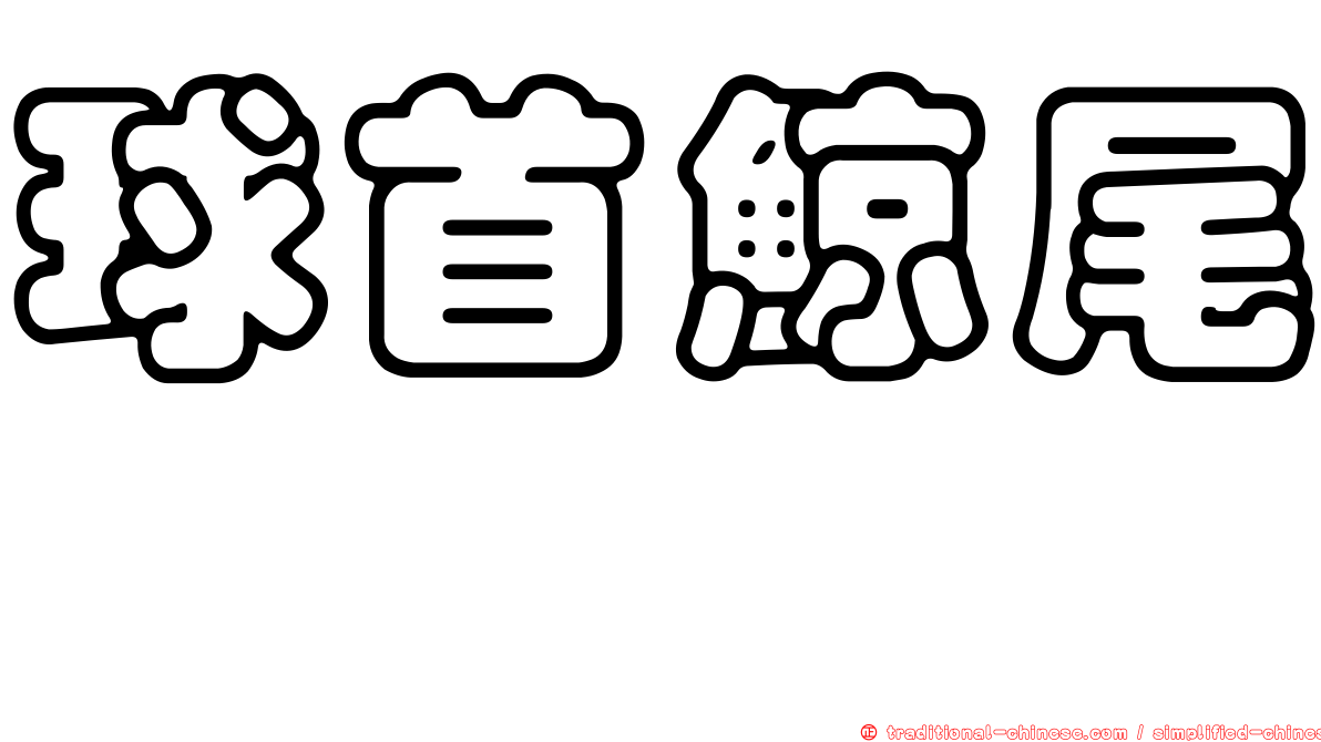 球首鯨尾鱈