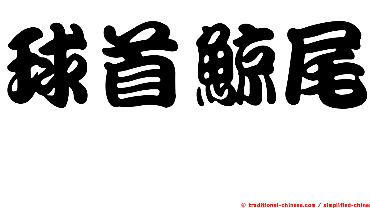 球首鯨尾鱈