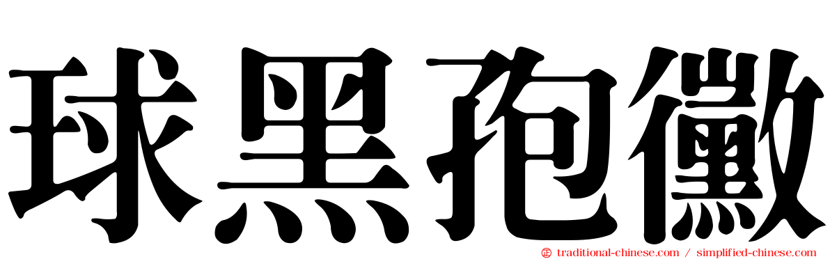 球黑孢黴