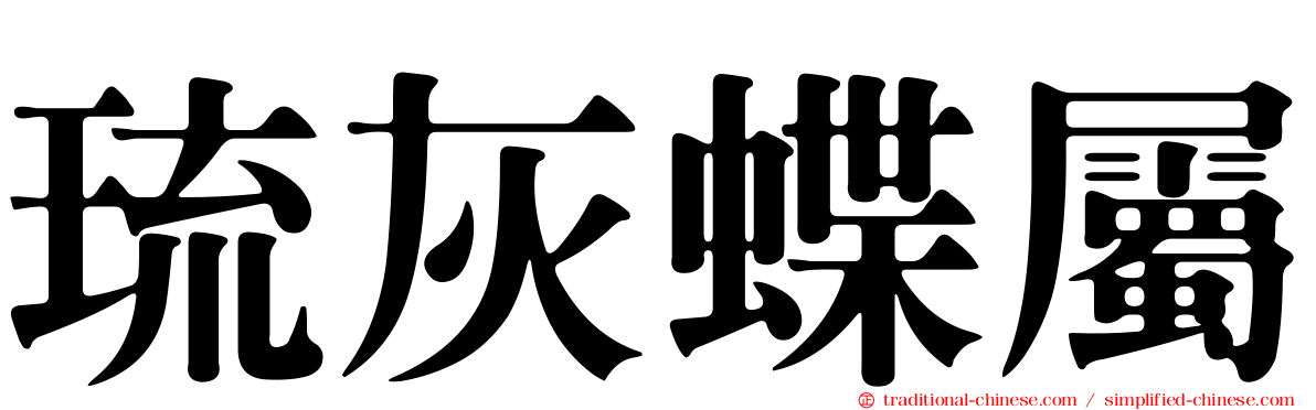 琉灰蝶屬