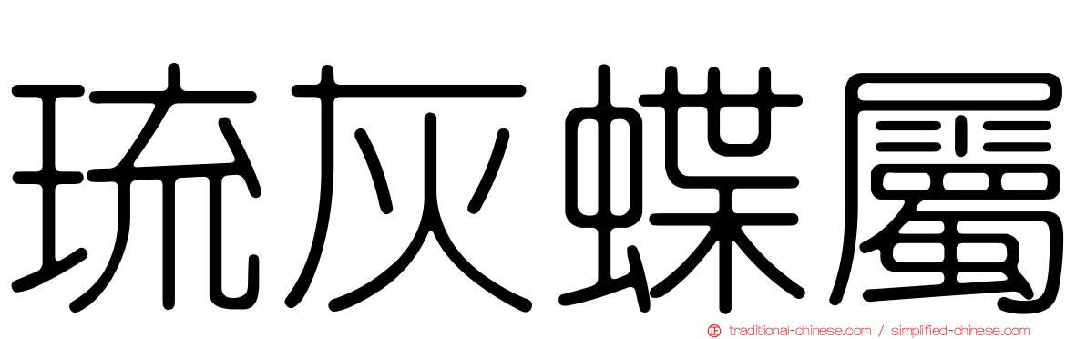 琉灰蝶屬