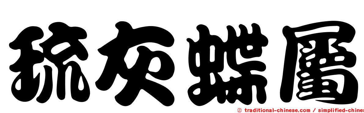 琉灰蝶屬