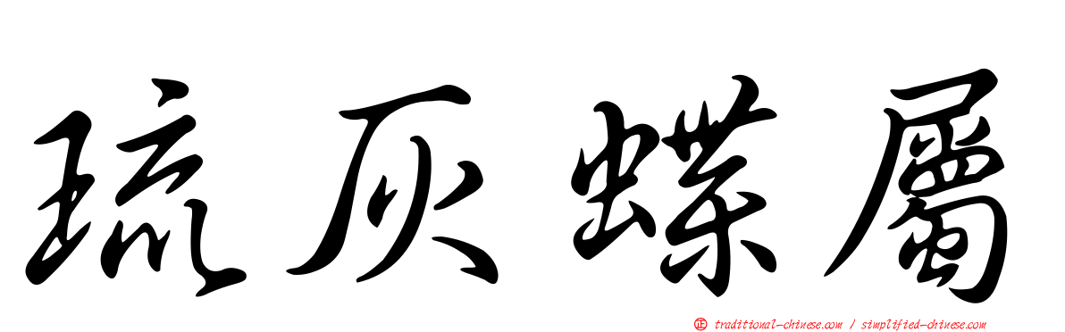 琉灰蝶屬