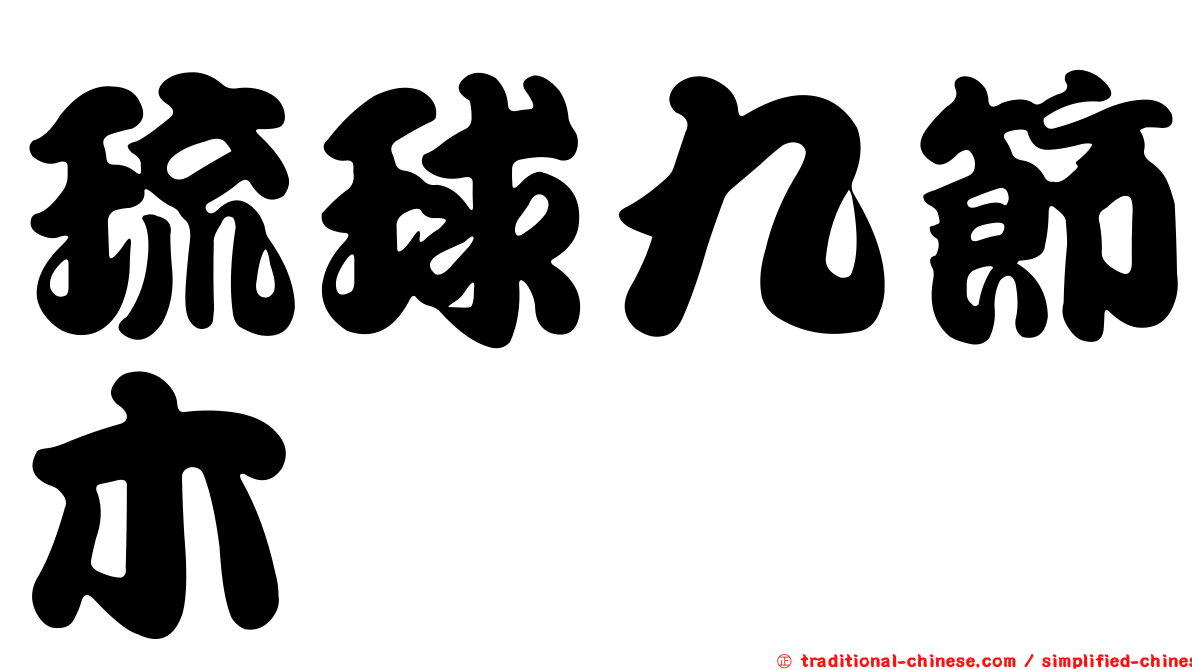 琉球九節木