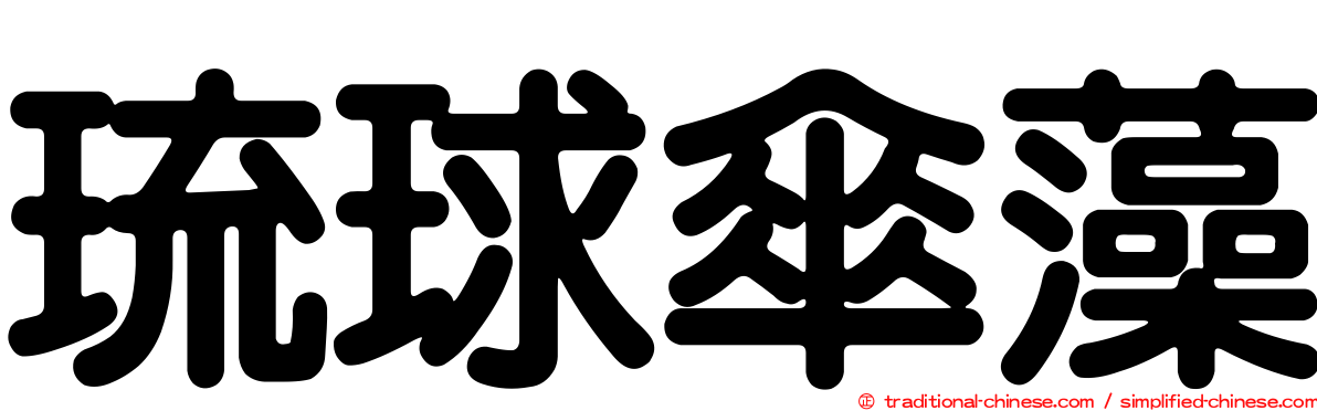 琉球傘藻