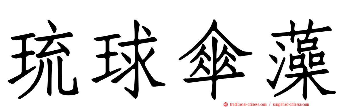 琉球傘藻