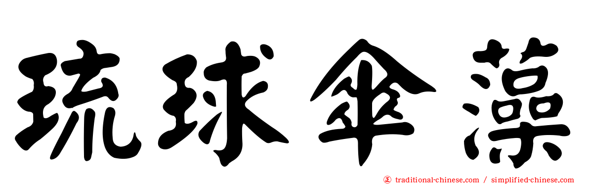 琉球傘藻