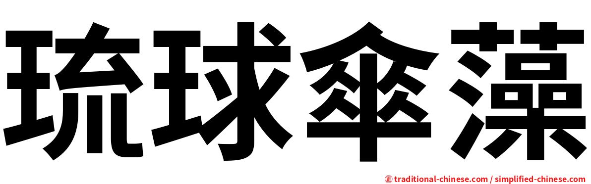 琉球傘藻