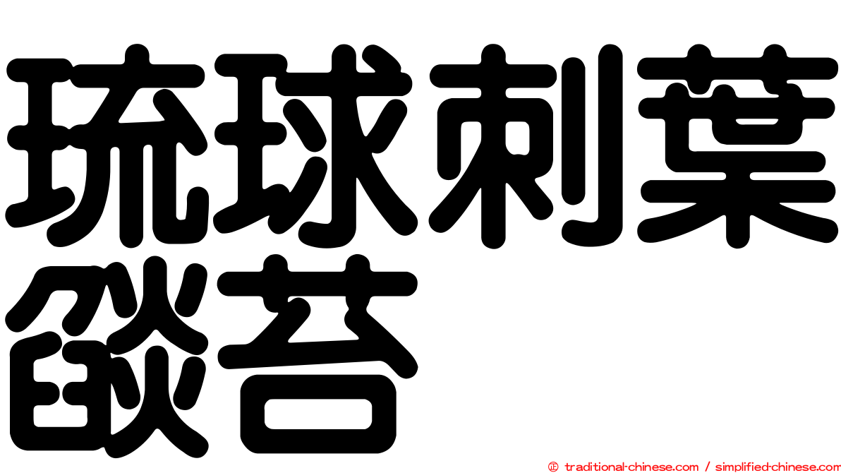 琉球刺葉燄苔