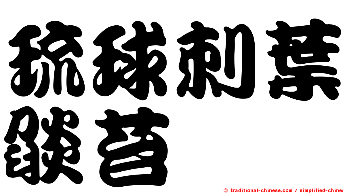 琉球刺葉燄苔