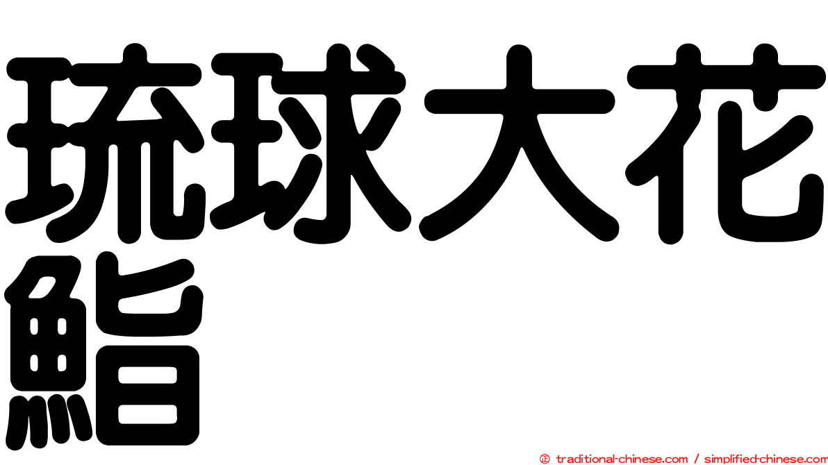 琉球大花鮨
