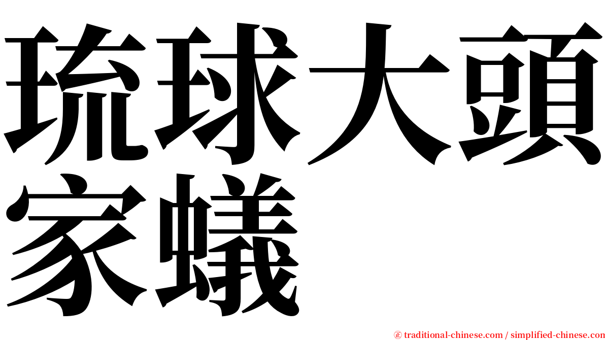 琉球大頭家蟻 serif font
