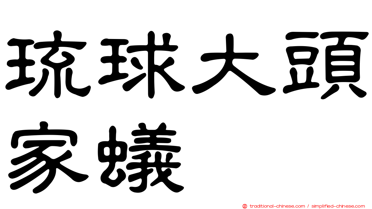琉球大頭家蟻