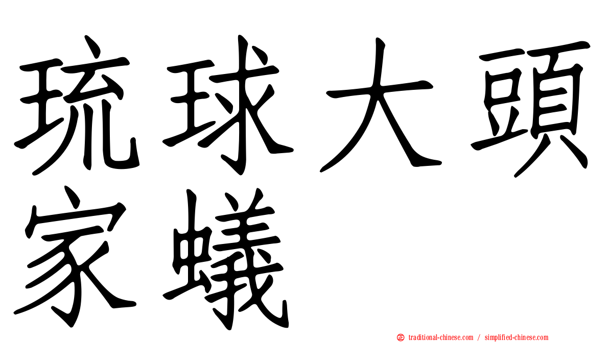 琉球大頭家蟻