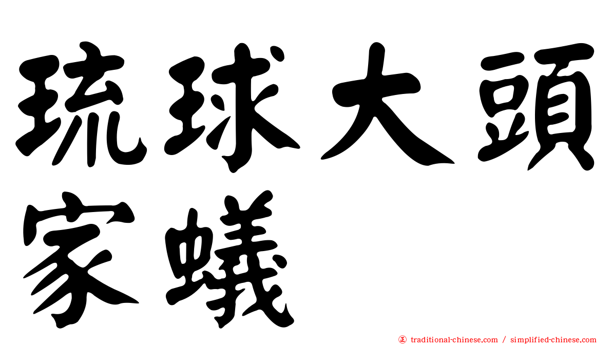 琉球大頭家蟻