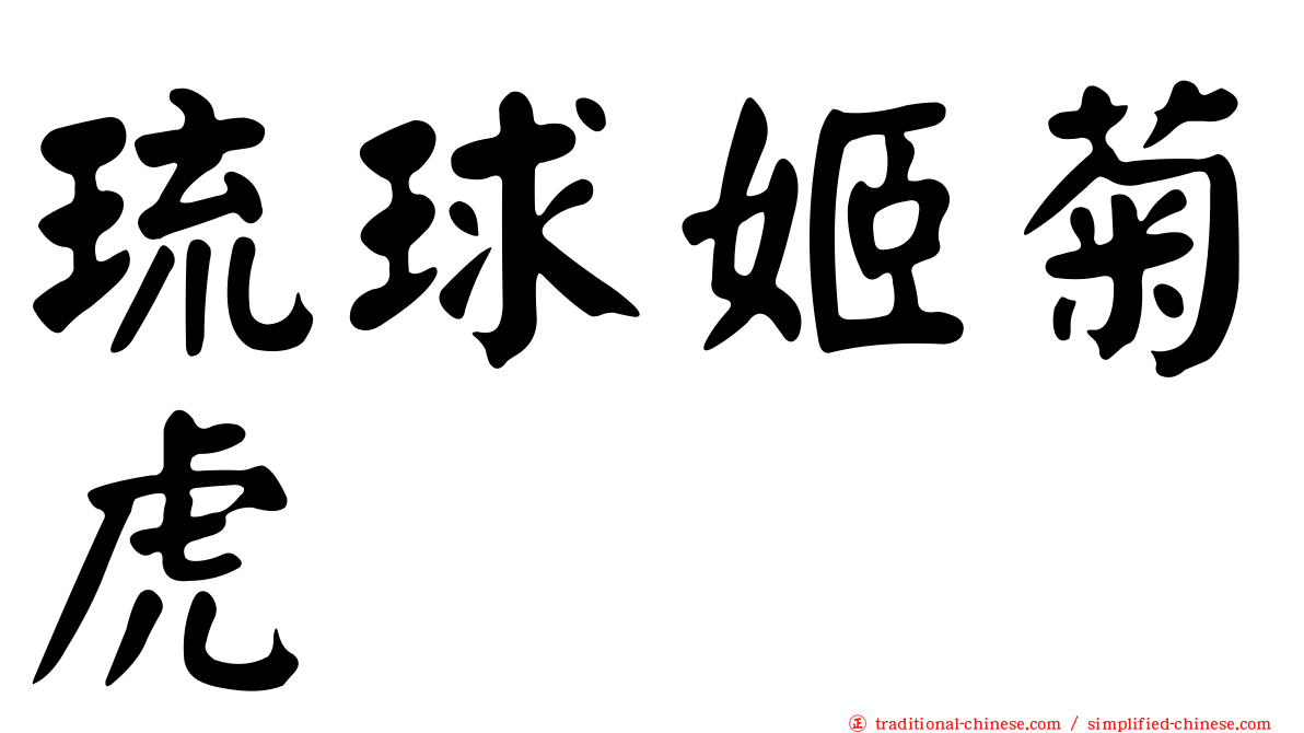 琉球姬菊虎