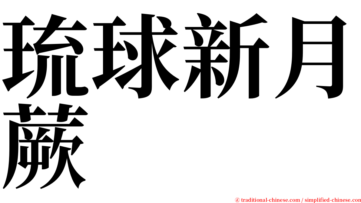 琉球新月蕨 serif font