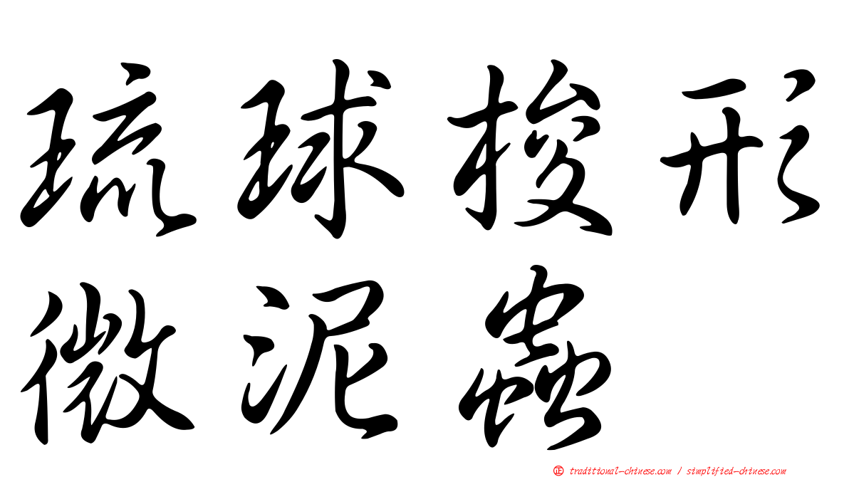 琉球梭形微泥蟲