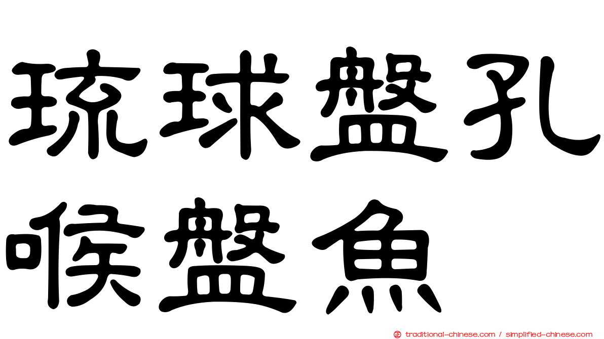 琉球盤孔喉盤魚