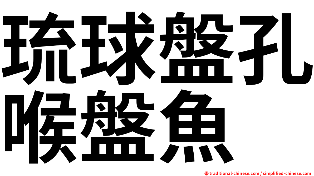 琉球盤孔喉盤魚